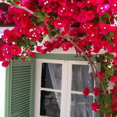 Villa Nona *